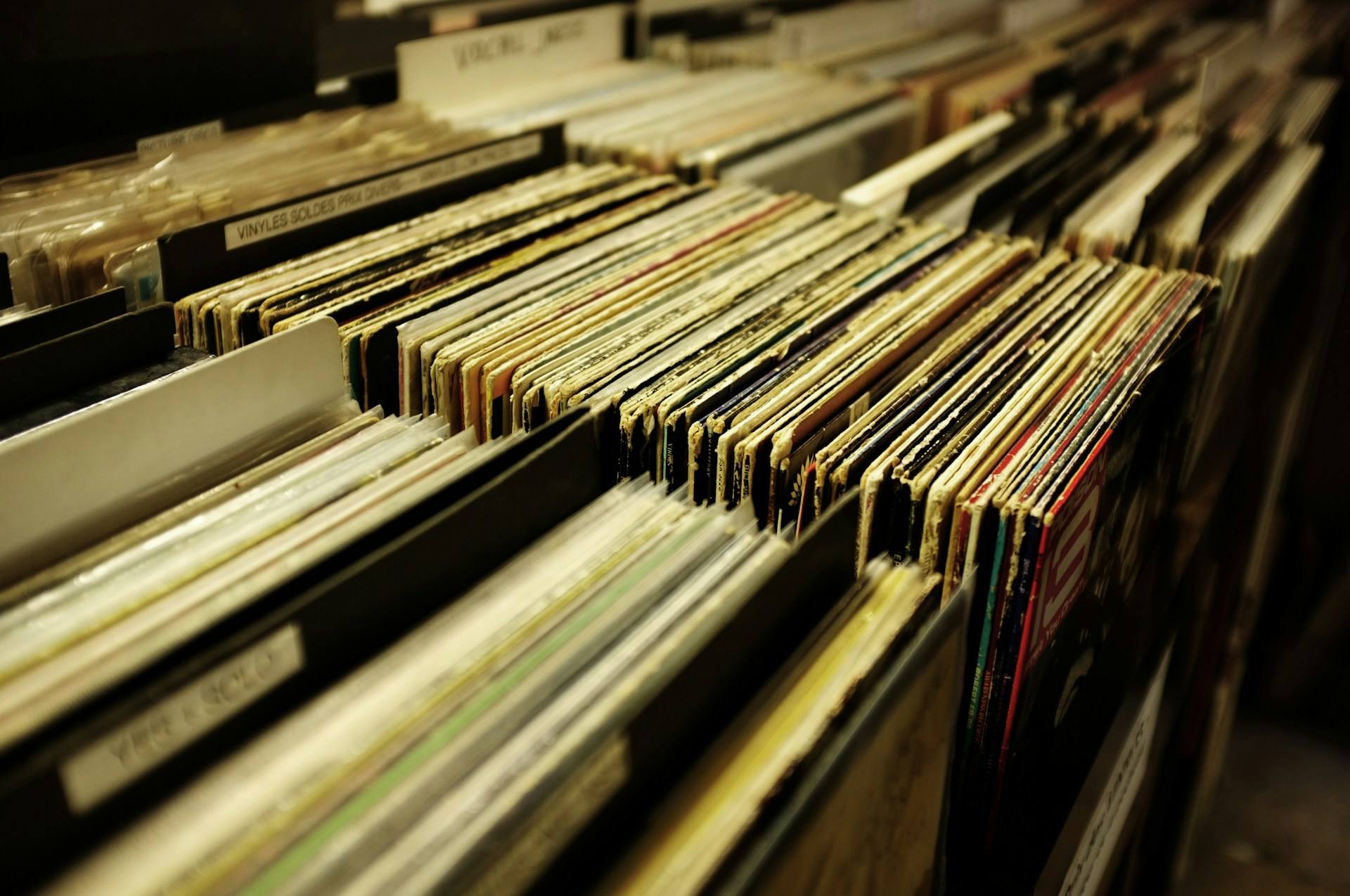 Vinyl records on shelves
