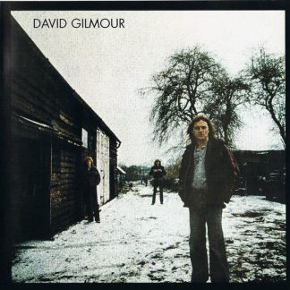 David Gilmour